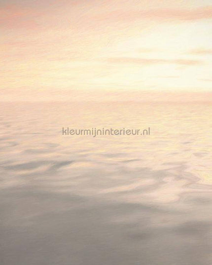 Komar INK INX6-064 | Bestellen bij https://www.kleurmijninterieur.nl/
