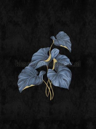 AS Creation Walls by Patel 3 DD122500 | Bestellen bij https://www.kleurmijninterieur.nl/