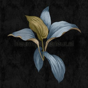AS Creation Walls by Patel 3 DD122508 | Bestellen bij https://www.kleurmijninterieur.nl/