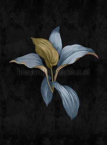 AS Creation Walls by Patel 3 DD122508 | Bestellen bij https://www.kleurmijninterieur.nl/