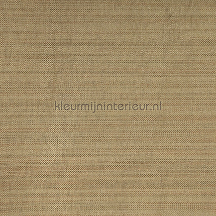 Kleurmijninterieur Natuurlijke Weefsels GPW-PW-401 | Bestellen bij https://www.kleurmijninterieur.nl/