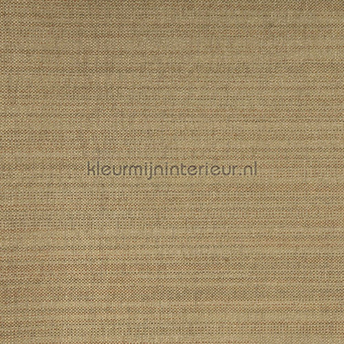 Kleurmijninterieur Natuurlijke Weefsels GPW-PW-401 | Bestellen bij https://www.kleurmijninterieur.nl/