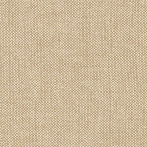 Pierre de France | kleurmijninterieur