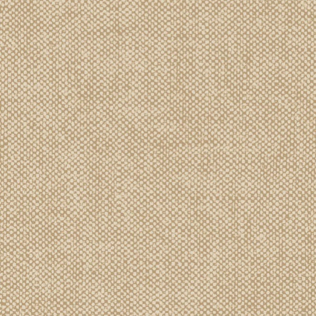 Pierre de France | kleurmijninterieur