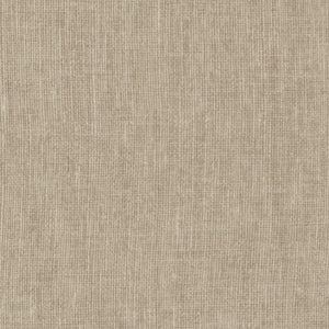 Tortue | kleurmijninterieur