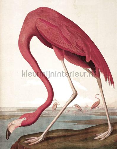 Kek Amsterdam Flora en Fauna pa-012 | Bestellen bij https://www.kleurmijninterieur.nl/
