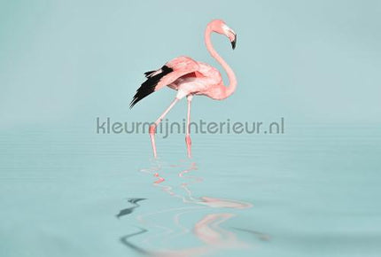 Livingwalls ARTist dd119777 | Bestellen bij https://www.kleurmijninterieur.nl/