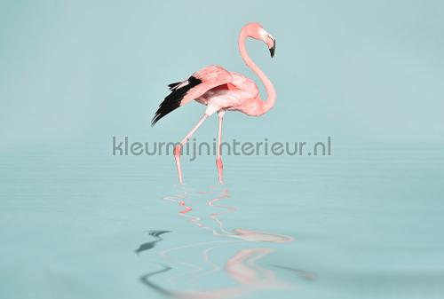 Livingwalls ARTist dd119777 | Bestellen bij https://www.kleurmijninterieur.nl/