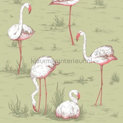 Cole and Son Icons 112-11038 | Bestellen bij https://www.kleurmijninterieur.nl/