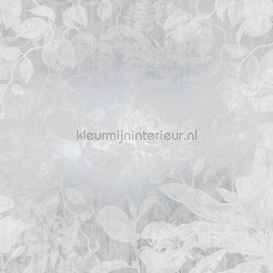 Komar RAW RSX8-057 | Bestellen bij https://www.kleurmijninterieur.nl/