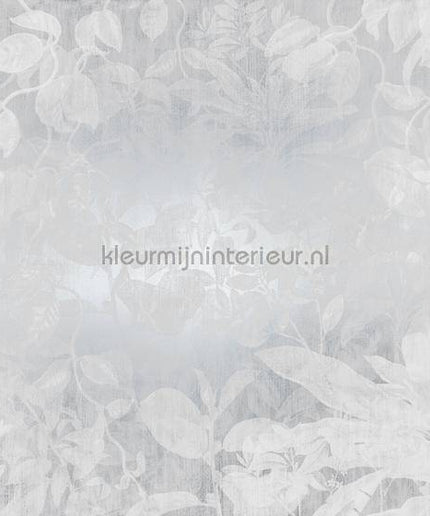 Komar RAW RSX8-057 | Bestellen bij https://www.kleurmijninterieur.nl/