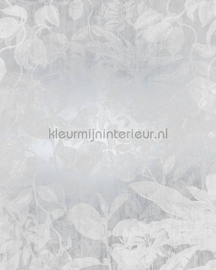 Komar RAW RSX8-057 | Bestellen bij https://www.kleurmijninterieur.nl/