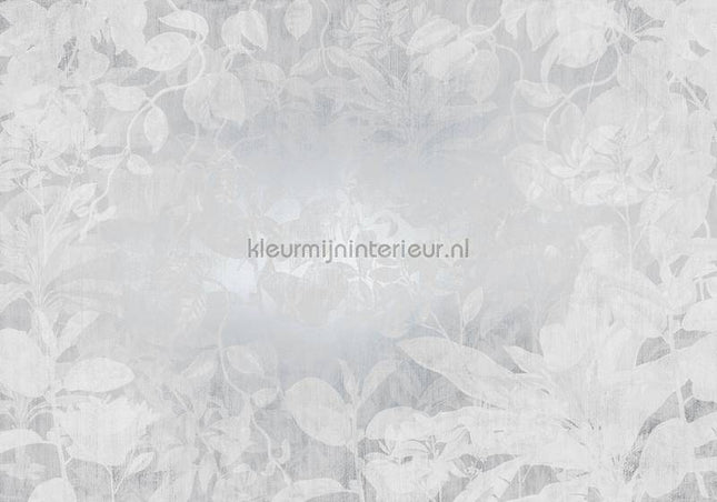 Komar RAW RSX8-057 | Bestellen bij https://www.kleurmijninterieur.nl/