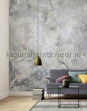 Komar RAW RSX4-020 | Bestellen bij https://www.kleurmijninterieur.nl/