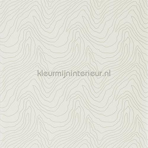 Harlequin Momentum Wallcoverings Volume 4 111589 | Bestellen bij https://www.kleurmijninterieur.nl/