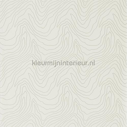 Harlequin Momentum Wallcoverings Volume 4 111589 | Bestellen bij https://www.kleurmijninterieur.nl/