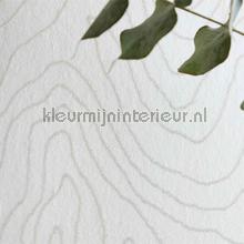 Harlequin Momentum Wallcoverings Volume 4 111589 | Bestellen bij https://www.kleurmijninterieur.nl/