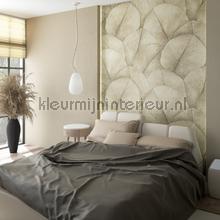 Noordwand Kumano 34597 | Bestellen bij https://www.kleurmijninterieur.nl/