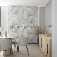 Noordwand Kumano 34598 | Bestellen bij https://www.kleurmijninterieur.nl/
