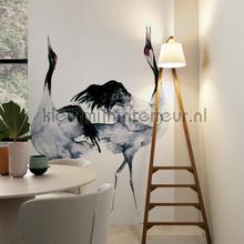 Noordwand Kumano 34595 | Bestellen bij https://www.kleurmijninterieur.nl/