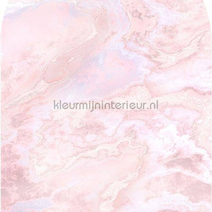 Komar INK D1-061 | Bestellen bij https://www.kleurmijninterieur.nl/