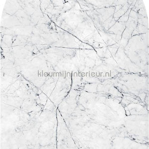 Komar INK D1-062 | Bestellen bij https://www.kleurmijninterieur.nl/