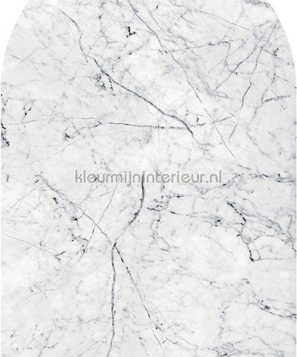 Komar INK D1-062 | Bestellen bij https://www.kleurmijninterieur.nl/