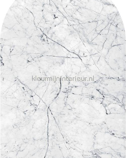 Komar INK D1-062 | Bestellen bij https://www.kleurmijninterieur.nl/