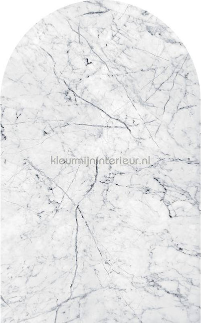 Komar INK D1-062 | Bestellen bij https://www.kleurmijninterieur.nl/