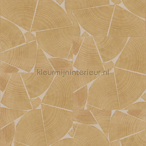 Elitis Marqueteries RM-1037-15 | Bestellen bij https://www.kleurmijninterieur.nl/