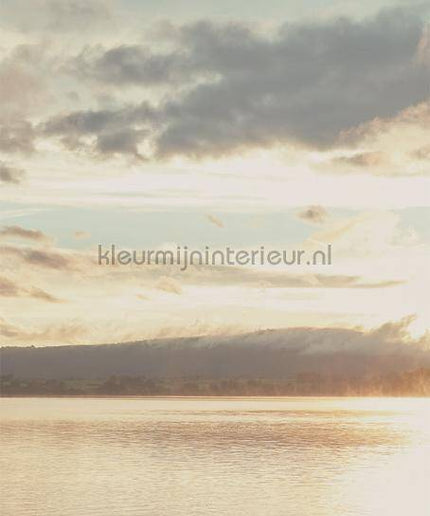 Eijffinger Wallpower Favourites 309023 | Bestellen bij https://www.kleurmijninterieur.nl/