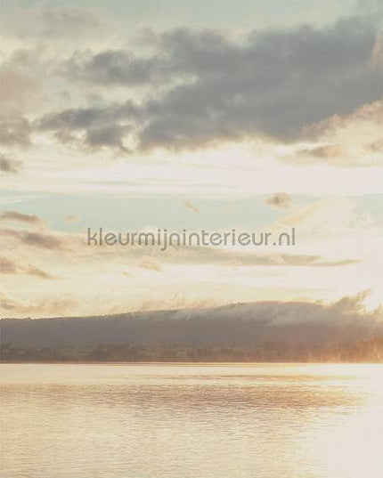 Eijffinger Wallpower Favourites 309023 | Bestellen bij https://www.kleurmijninterieur.nl/