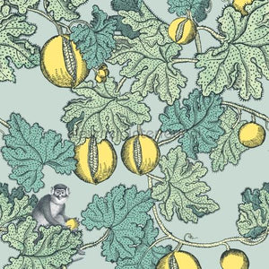 Cole and Son Fornasetti 114-1002 | Bestellen bij https://www.kleurmijninterieur.nl/