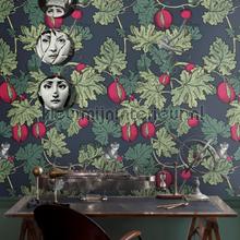 Cole and Son Fornasetti 114-1003 | Bestellen bij https://www.kleurmijninterieur.nl/