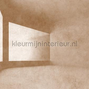 AS Creation Walls by Patel 3 DD122144 | Bestellen bij https://www.kleurmijninterieur.nl/