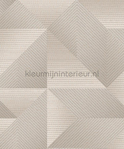 Dutch Wallcoverings Exclusive Threads TP422973 | Bestellen bij https://www.kleurmijninterieur.nl/