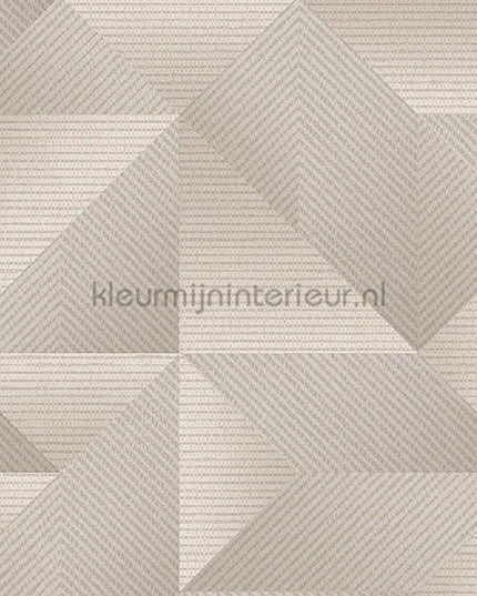 Dutch Wallcoverings Exclusive Threads TP422973 | Bestellen bij https://www.kleurmijninterieur.nl/