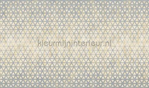 Noordwand Vanilla Lime 14310 | Bestellen bij https://www.kleurmijninterieur.nl/