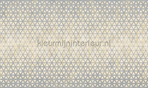 Noordwand Vanilla Lime 14310 | Bestellen bij https://www.kleurmijninterieur.nl/