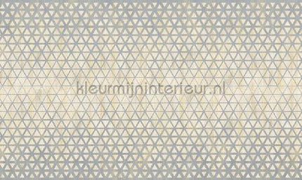 Noordwand Vanilla Lime 14310 | Bestellen bij https://www.kleurmijninterieur.nl/