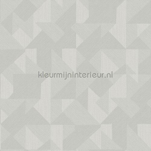 Hookedonwalls New Wave 24812 | Bestellen bij https://www.kleurmijninterieur.nl/