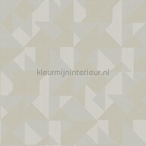 Hookedonwalls New Wave 24813 | Bestellen bij https://www.kleurmijninterieur.nl/