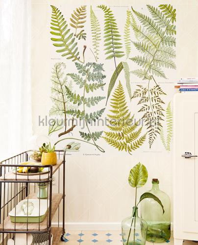 Eijffinger Geonature 366102 | Bestellen bij https://www.kleurmijninterieur.nl/
