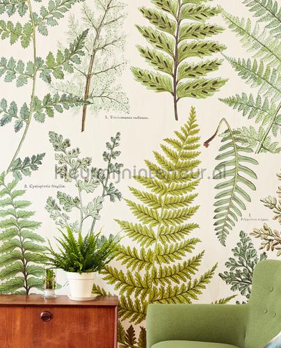 Eijffinger Geonature 366104 | Bestellen bij https://www.kleurmijninterieur.nl/