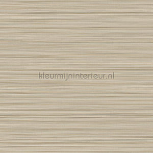Eijffinger Cozumel 50534 | Bestellen bij https://www.kleurmijninterieur.nl/