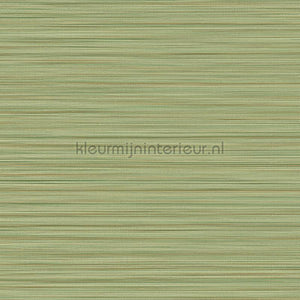 Eijffinger Cozumel 50541 | Bestellen bij https://www.kleurmijninterieur.nl/