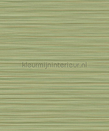 Eijffinger Cozumel 50541 | Bestellen bij https://www.kleurmijninterieur.nl/