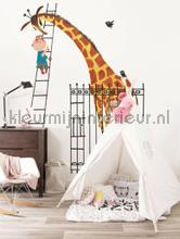 Kek Amsterdam Kinderbehang WS-040 | Bestellen bij https://www.kleurmijninterieur.nl/