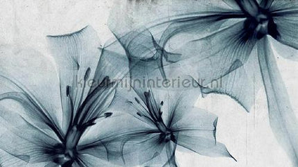 Coordonne Random Papers 2 6800411 | Bestellen bij https://www.kleurmijninterieur.nl/