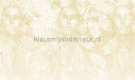 Noordwand Vanilla Lime 14350 | Bestellen bij https://www.kleurmijninterieur.nl/